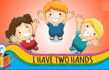 I have two hands .